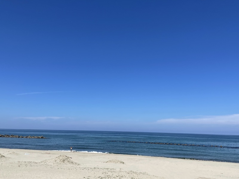 夏の海
