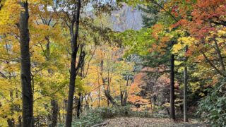 【お客様の声/Customer Feedback】180分があっという間で、その価値はあります。｜The 180-minute course flew by, and it was absolutely worth it.