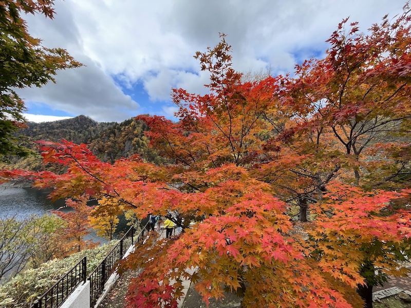 【お客様の声/Customer Feedback】初心者だったのですが、安心して受けられました-It was my first time, but I felt completely comfortable.