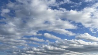 【お客様の声/Customer Feedback】体の疲れている部分をとても丁寧に施術してもらえた/He carefully focused on the areas of my body that were tired.