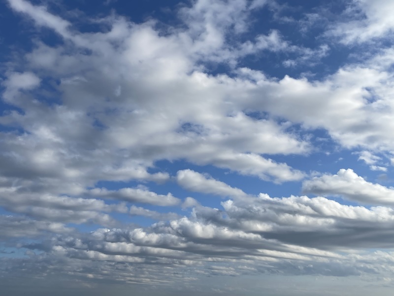 【お客様の声/Customer Feedback】体の疲れている部分をとても丁寧に施術してもらえた/He carefully focused on the areas of my body that were tired.