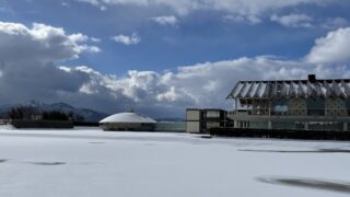 【お客様の声/Customer Feedback】肩まわりを重点的に施術いただき、かなり楽になりました。-The treatment focused on my shoulders, and I felt a lot of relief.