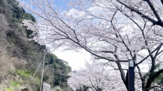 【お客様の声/Customer Feedback】丁度良いくらいの強さで、心地良く受けられました。-The aroma oil massage was applied with just the right amount of pressure, making it very comfortable to receive.