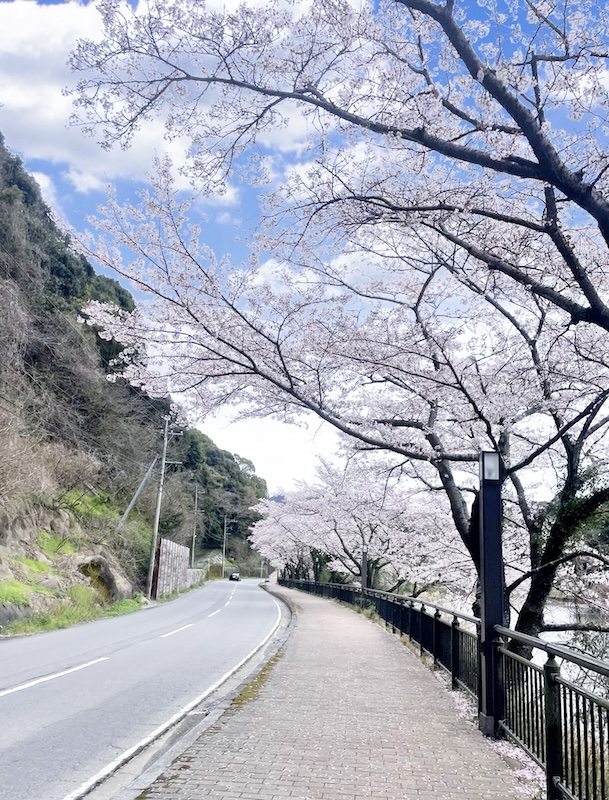 【お客様の声/Customer Feedback】丁度良いくらいの強さで、心地良く受けられました。-The aroma oil massage was applied with just the right amount of pressure, making it very comfortable to receive.